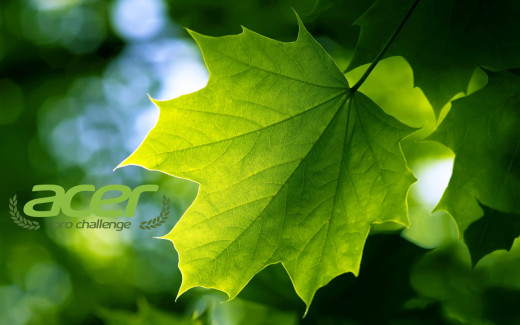 1165629 (a): :2560x1600